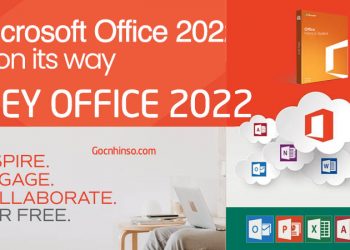 Key Office 2022 kích hoạt MS Office Professional Plus