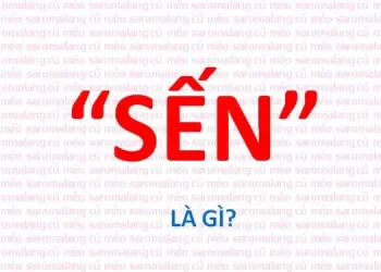 Sến là gì? Sến là những hành động như thế nào?
