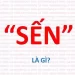 Sến là gì? Sến là những hành động như thế nào?